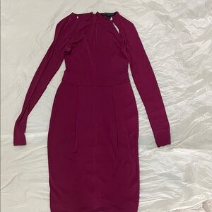 French Connection long Sleeve Fitted Magenta Dress